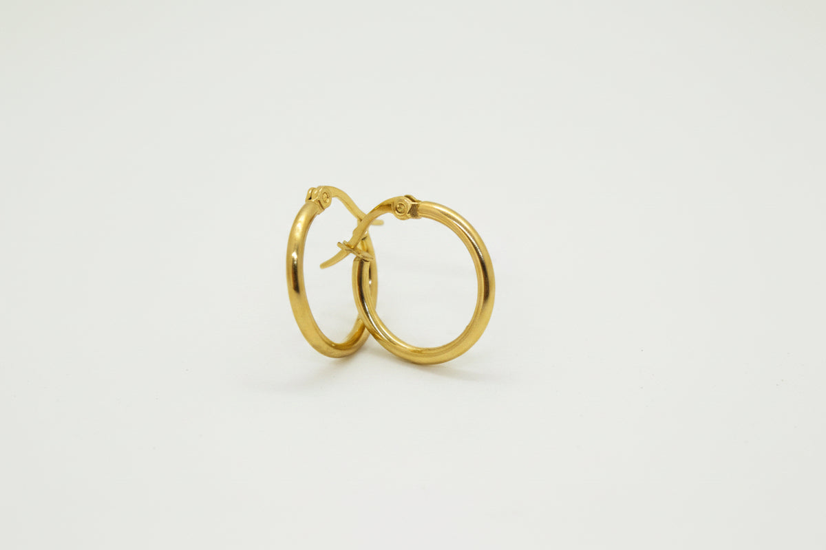 Gold Plated Stainless Steel Hoop Huggie Earrings