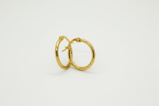 Gold Plated Stainless Steel Hoop Huggie Earrings